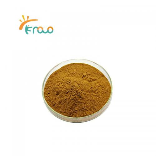 Organic Natural 40% Pueraria Mirifica Extract Powder Pemasok