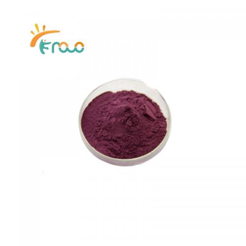 Beet Root Powder Pemasok