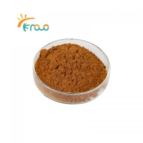 Lion's Mane Mushroom Extract Powder Pemasok