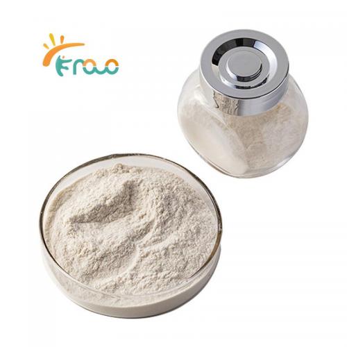 High Density Chitosan Powder Pemasok