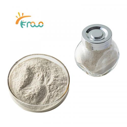Industrial Grade Chitosan Powder Pemasok