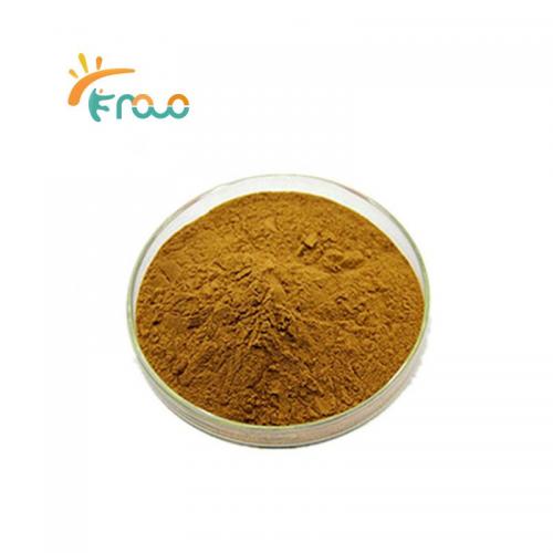 Black Ginger Extract Powder Pemasok