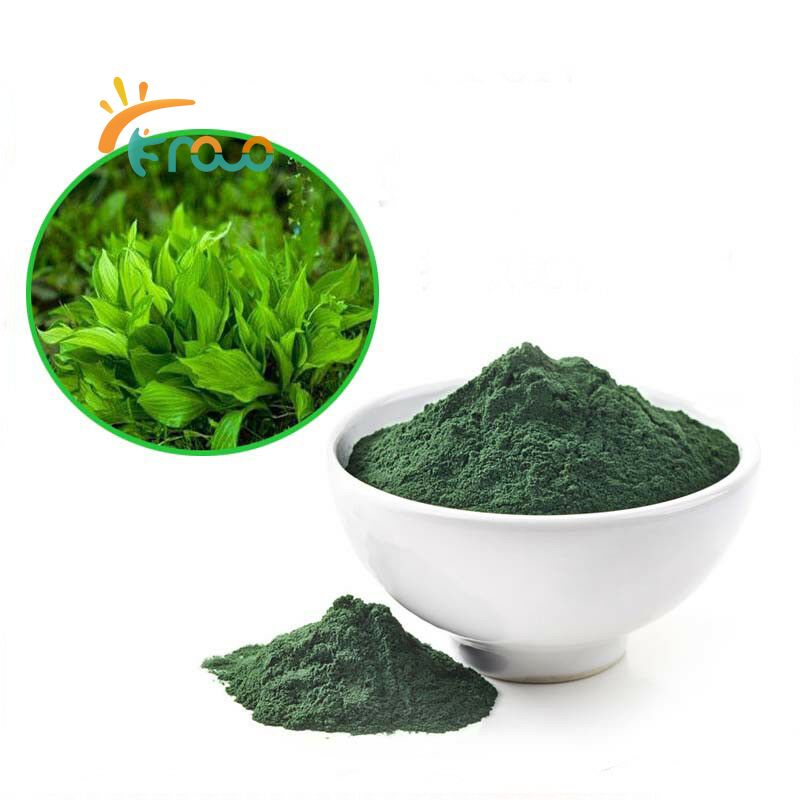 Apa Manfaat Bubuk Chlorella?