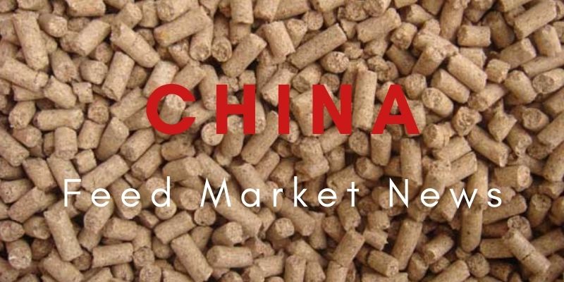 Berita China Feed Maket--Analisis Pasar Ekspor Lisin pada September 2021